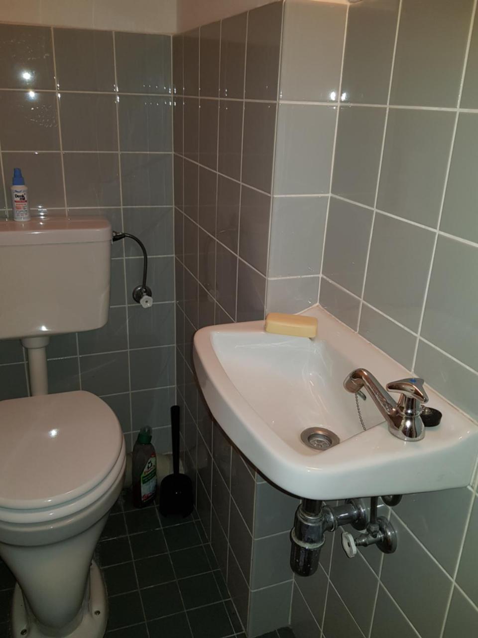 Apartment Mit Blick Auf Das Eversten Holz 42Qm Oldenburg Zewnętrze zdjęcie